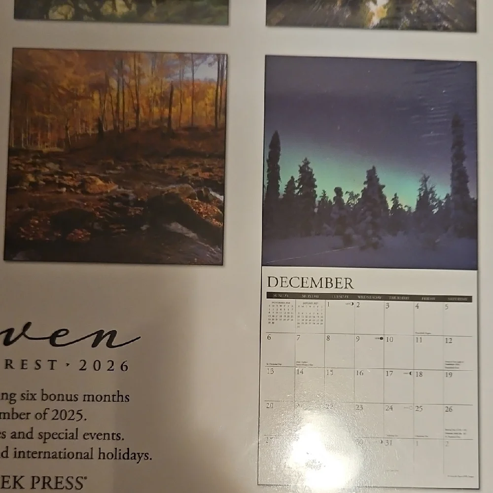 2026 Heaven Has a Forest 18-Month Wall Calendar